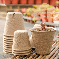 DD3168 Pots de départ de graines de tourbe carrées biodégradables avec trous de drainage Plateaux de germination de plantes de pépinière