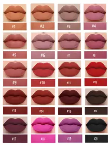 Tube blanc à haute pigmentation longue durée 20 couleurs rouge à lèvres liquide Logo personnalisé rouge à lèvres finition mate nude rouge à lèvres