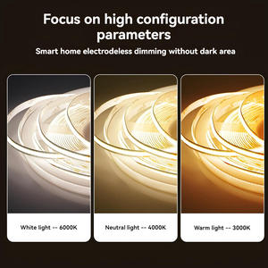 8MM Professional <strong>LED</strong> <strong>Strip</strong> 12V/24V 10W/M Double-Sided Electroplated Board IP20 - Product Image 2