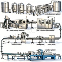 Usine de lavage, remplissage et bouchage automatique de bouteilles d'eau potable clé en main de haute qualité
