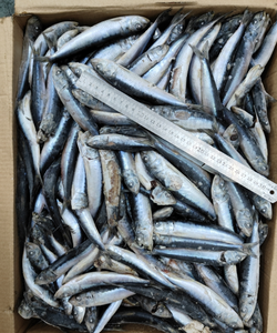 Sardines congelées pour la mise en conserve de <span class=keywords><strong>poisson</strong></span> <span class=keywords><strong>frais</strong></span> emballé en vrac - Product Image 2