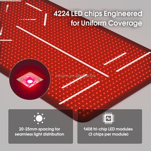 Nouveau tapis de luminothérapie professionnelle OEM 2026 pour le yoga, double bande 660nm 850nm pour la maison - Product Image 3
