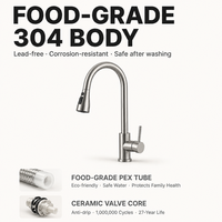 Robinet de cuisine moderne en acier inoxydable 304, flexible, à double fonction eau chaude et froide, avec douchette extractible
