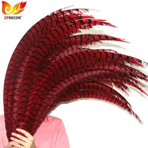 Nhà Cung Cấp Hàng Đầu ZPDECOR Bán Buôn 80-90 Cm Nhuộm Màu Đỏ Dài Số Lượng Lớn Bán Zebra Lady Amherst Chim Trĩ Đuôi Lông Cho Lễ Hội - Product Image 1