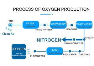 Sistema Generatore di Ossigeno Flygoo Pure ad Alta Pressione, 94% di Purezza, Attrezzatura per Acquacoltura PSA RAS, <span class=keywords><strong>15Lpm</strong></span> - Product Image 6