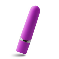 Wiederaufladbarer Bullet-Vibrator für Frauen Masturbation Orgasmus Erwachsenenprodukte Sextoy Starker Leistungsfähiger Vibrator Sexspielzeug