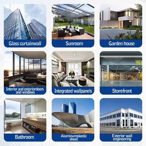 Scellant structurel T900 pour murs-rideaux, couleurs/emballages personnalisés - Product Image 4