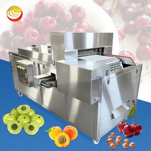 Máquina Automática para Deshacerse de los Huesos de Palma, Elimina Semillas de Frutas, Deshuesadora de Dátiles, Cerezas, Lichi, Aceitunas, Máquina Deshuesadora de Dátiles Medjool - Product Image 1