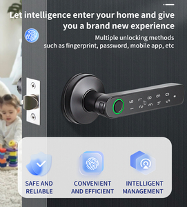 IP65 kapalı kapısı ev akıllı parmak izi bölünmüş anahtarlı kilit Tuya dijital anahtarsız akıllı kapı kilidi - Product Image 3