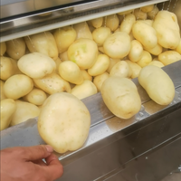 Gemengde oogst flexibele wortelgewaswasser en -schiller voor aardappelen, wortelen, gember, taro en verwerkers van verse producten