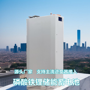 LiFePO4 Lithium Ion Battery Pack 51.2V 200Ah Solar <b>Energy</b> <b>Storage</b> <b>System</b> High Capacity - Product Image 3