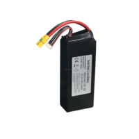 Batterie Li-ion à semi-conducteurs 6S 22,2V 16000mAh 355,2Wh XT60 pour drones agricoles, de relevé et de logistique à charge lourde