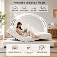 Intelligente Verstellbare Matratze Elektrisches Bett mit Luftkissen-Festigkeitsregelung Massage Heizung Schwerelosigkeits-Schlafsystem Tuya WiFi