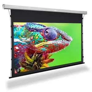 80-170 inch customized Easy installation motorized Drop Down Projector Screen ALR