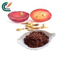 Extrait de pépins de raisin en poudre hydrosoluble, antioxydant pour la santé cardiaque et usage cosmétique, supplément alimentaire en gros