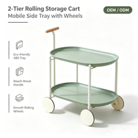Chariot de rangement en plastique à double niveau, en acier carbone, type sur pied, multifonction, non pliable, portable, table basse mobile pour