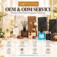 100ml diffuseur de roseaux d'huile essentielle naturelle avec bâtons décor à la maison parfum parfum aromathérapie coffret cadeau pour salon bureau