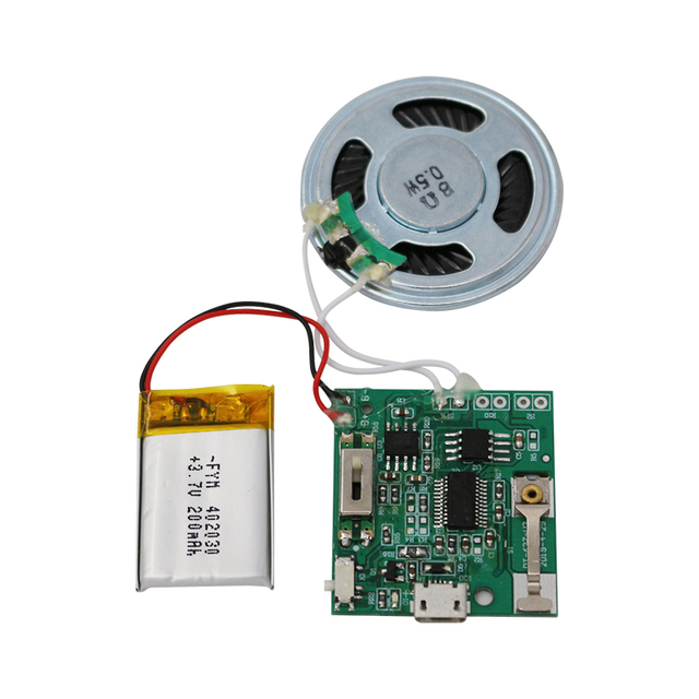 Factory Custom USB MP3 Player Module Chip Recordable Sound Modules