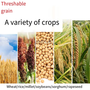 Venta caliente Maíz Trigo Maíz Arroz Soja Mung Bean Sheller Máquina trilladora multifuncional - Product Image 6