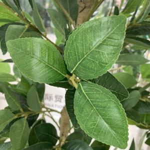 G25042306 Árbol de Limón Artificial de Hojas Verdes en Maceta, Decoración Moderna para Interiores, Decoración Artificial de Gran Tamaño, Barato, de Fábrica China, 120 cm - Product Image 4