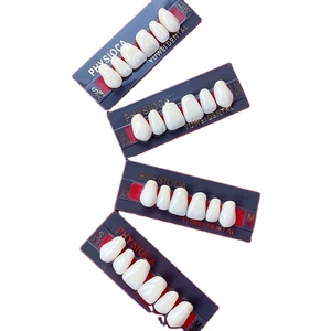 Prothèse <span class=keywords><strong>dentaire</strong></span> en résine acrylique, postérieur et antérieures - Product Image 5