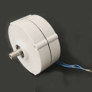 มอเตอร์แม่เหล็กไฟฟ้ากระแสสลับ 100W 12V/24V สำหรับโรงงาน ผลิตพลังงานฟรี พร้อมมาตรฐาน IP55 และเครื่องกำเนิดไฟฟ้า 50/60Hz - Product Image 3