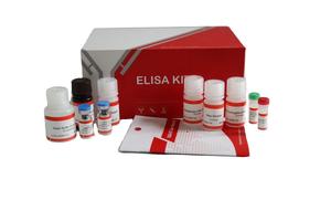 Kit de Prueba ELISA Humana, Panel de Análisis Múltiple para la Detección de Citocinas, Hormonas y Proteínas en Suero y Plasma para Uso en Investigación - Product Image 5