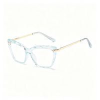 Lunettes anti-lumière bleue rétro SM2500, monture PC unisexe avec accents métalliques dorés