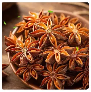 High Quality Wholesale Star Anise Granules Raw Processed Dried Spice For Autumn Spring Seasoning Hot Sale Star Ansie