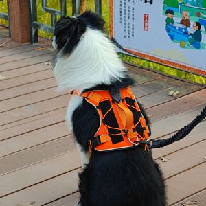 Cross Border <b>Dog</b> Harness Large Size Adjustable Breathable Reflective Led <b>Light</b> Up For Outdoor Walking - Product Image 1