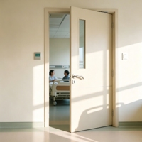 Puertas Batientes de Acero Personalizadas con Ventanas Visuales Estándar GMP y Puertas de Acero Resistentes al Fuego para Salas y Habitaciones de Hospitales