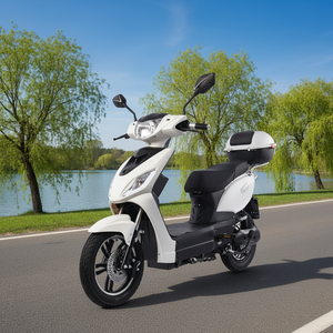 Scooter de livraison de haute qualité, homologué CEE, 1000 W, 48 V, à vendre - Product Image 6
