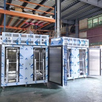 Congélateur rapide industriel -45°C en acier inoxydable avec chariots pour la transformation de la viande et des fruits de mer
