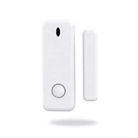 RF 433 alarme de maison détecteur d'ouverture de porte de fenêtre capteur de porte sans fil pour système d'alarme de sécurité domestique