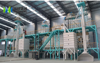 Usine de traitement des grains de café Robusta, machine de nettoyage et de calibrage des grains de café Arabica, séparateur gravimétrique
