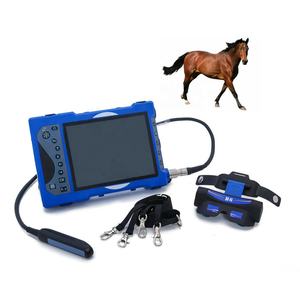 Pemindai <span class=keywords><strong>Ultrasound</strong></span> dokter hewan kualitas tinggi dengan Probe anal Linear dan kaca <span class=keywords><strong>Video</strong></span> - Product Image 1