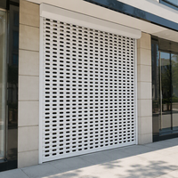Porte à enroulement électrique en aluminium perforé avec lames de sécurité ventilées pour vitrine de magasin