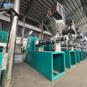 Machine de production d'huile comestible à pressage à froid et à chaud, automatique, compacte, à haut rendement, pour graines de coton et de courge, prix usine - Product Image 1