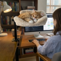 Lit pour chat réglable à poser sur le côté du bureau, abri stable et rotatif, perchoir surélevé pour animaux de compagnie, antidérapant, luxueux et tendance en peluche