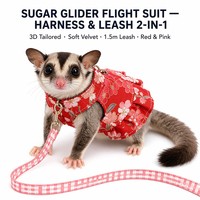 Harnais-robe 2-en-1 pour Sugar Glider, coupe 3D, en velours doux, laisse de 1,5 m, 2 couleurs, motif floral cerise rouge et rose, pour les sorties