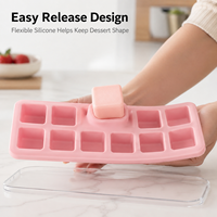 Moule à pâtisserie en silicone alimentaire avec couvercle, plateau carré à 10 cavités pour mini-gâteaux, mousses, gelées, fournitures de boulangerie en gros