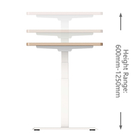 Bureau debout à 3 niveaux à double moteur automatique 60-125cm Hauteur réglable Bureau 40x78 pouces Table d'ordinateur de bureau électrique assise et debout