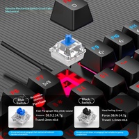 RAIKU L3000 104 Key True Mechanical Gaming Keyboard Blue Switch RGB Backlit Detachable USB Cable for PC Mac Office Esports