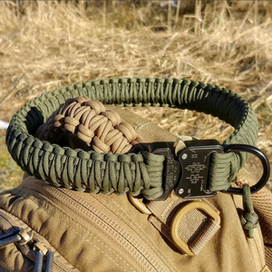 <span class=keywords><strong>2026</strong></span> 2025 Heavy Duty brede hondenhalsband voor sublimatie, trekriem met kikkerclip en slanggesp - Product Image 1