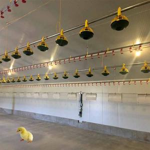 Hot <span class=keywords><strong>Sale</strong></span> Vorgefertigte leichte Struktur Struktur Gebäude Fertighaus Geflügel haus Design Hühner farm - Product Image 5