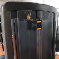 Équipement de gym de fitness commercial Machine chargée par broche Machine d'extension arrière
