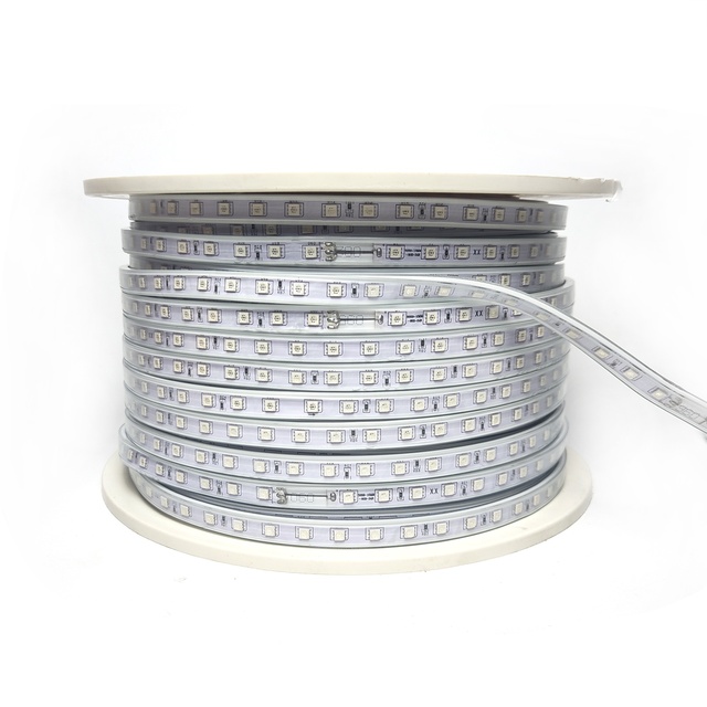 Smart 110V 220V SMD 5050 RGB 60led 96led 120 Led Remote Control Waterproof Led Strip Light Led Light Strip