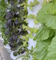 NOUVEAU Système rotatif de ferme de tour aéroponique de jardin vertical motorisé hydroponique