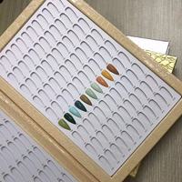 Album de 216 couleurs pour ongles, nuancier de vernis gel tendance, livre d'affichage professionnel des couleurs en cuir