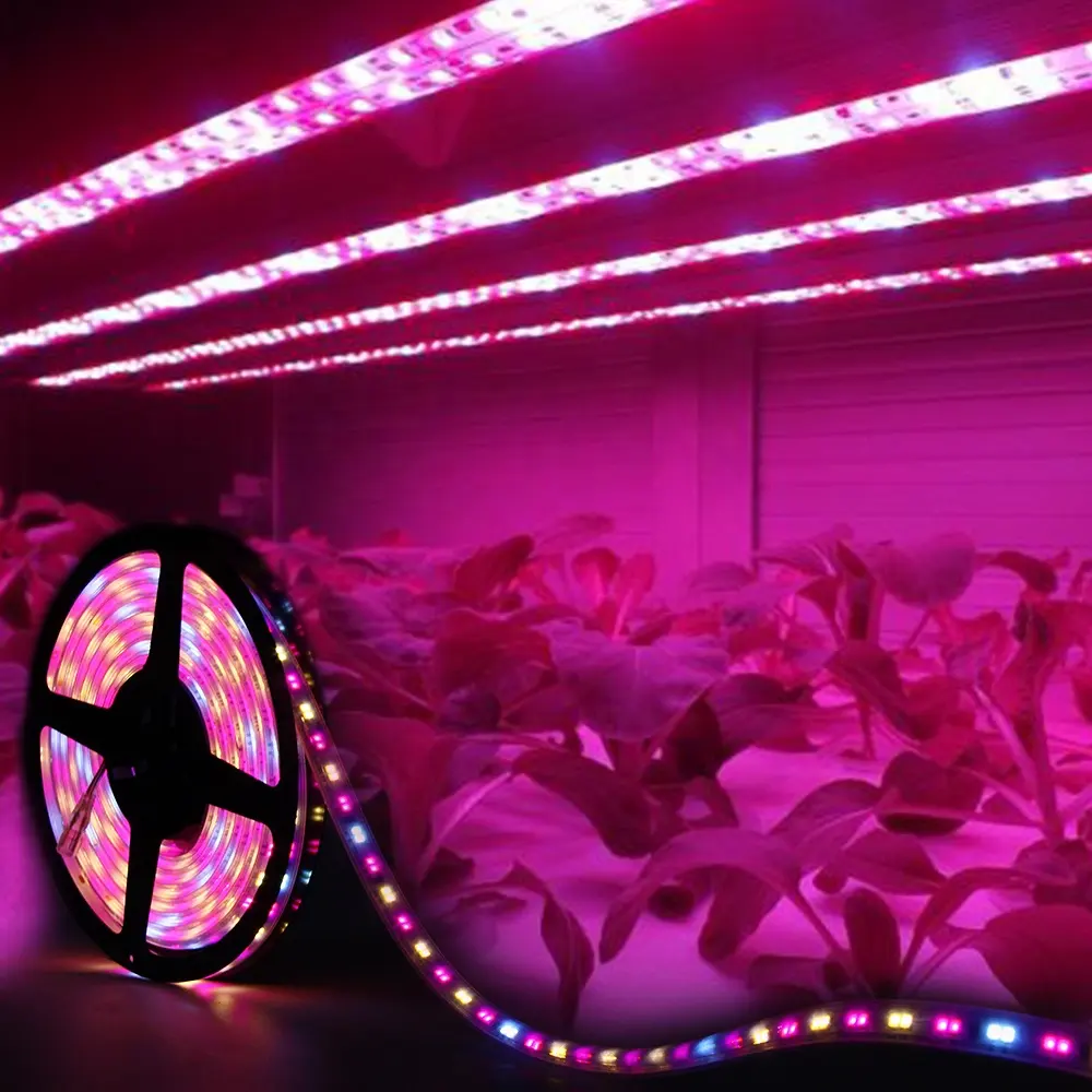 LED Grow Light Full Spectrum Grow Light Strip 2835 Chip LED Phyto Lamp for Plants 730nm Far Red Led Grow Lights